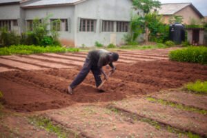 Bienvenue chez BIOAGRITERRE