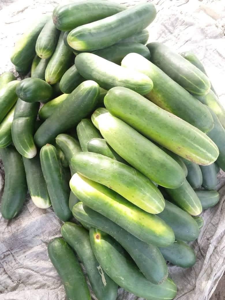 image-agrievolution_2023-10-31-17.27.06-1